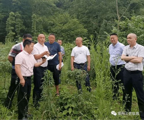 市政府召開研究解決新建生豬規(guī)模養(yǎng)殖場(chǎng)有關(guān)問題的會(huì)議