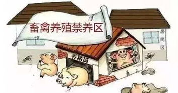 重磅消息 欽州首次劃定畜禽禁養(yǎng)區(qū),在哪些地方你知道嗎