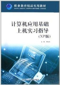 職業教育精品實用教材 計算機應用基礎上機銷售指南